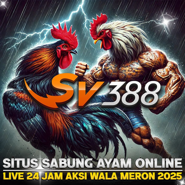 SV388 🐔 Situs Terpercaya Sabung Ayam Online Live Wala Meron 24 Jam